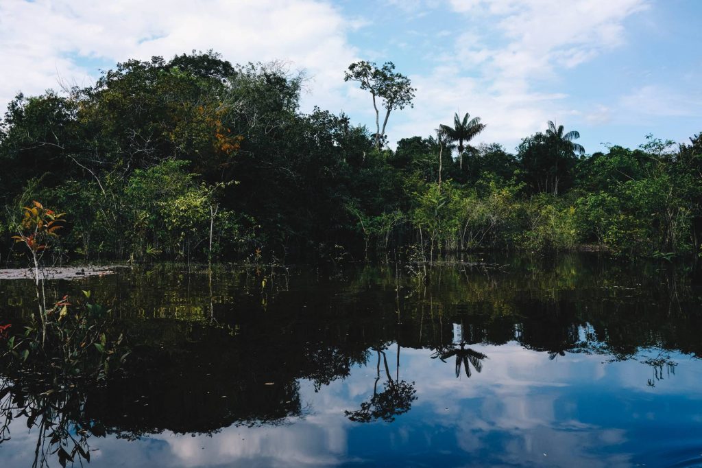 Rivière amazonie