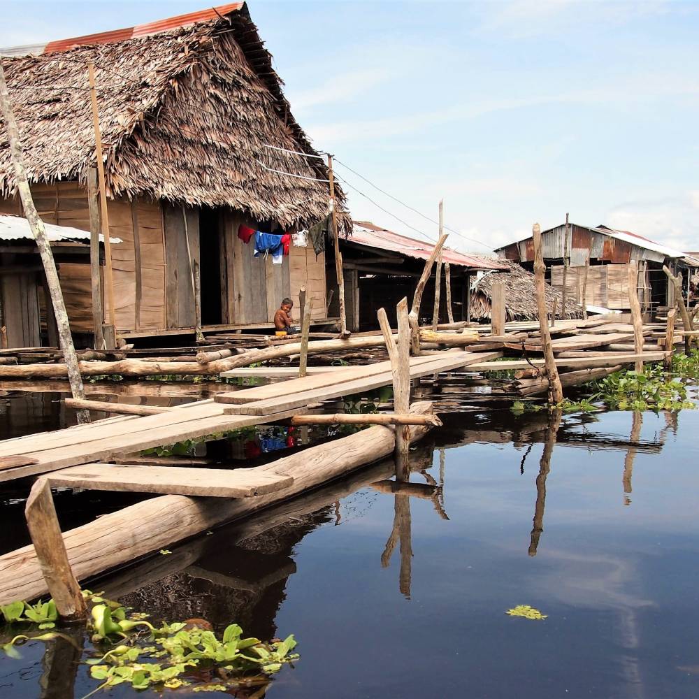 Maisons rives amazonie
